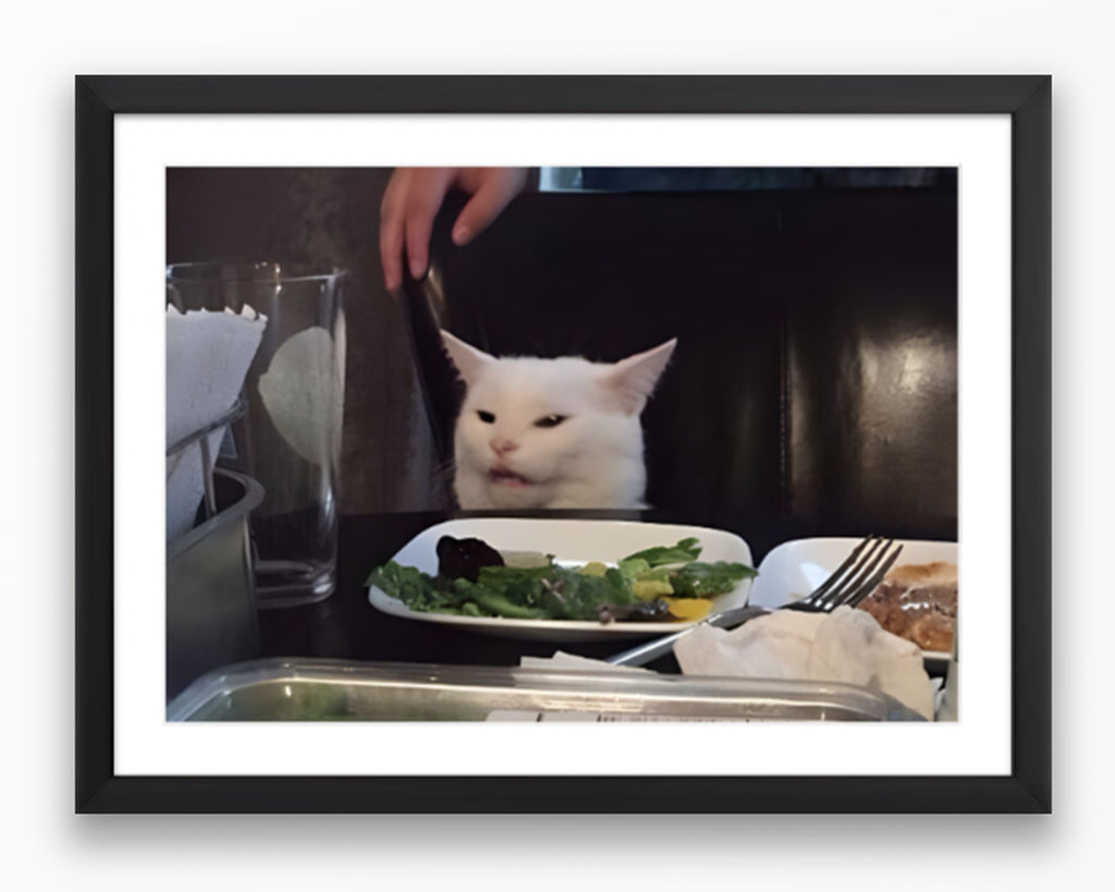 Confused Cat Meme Poster
