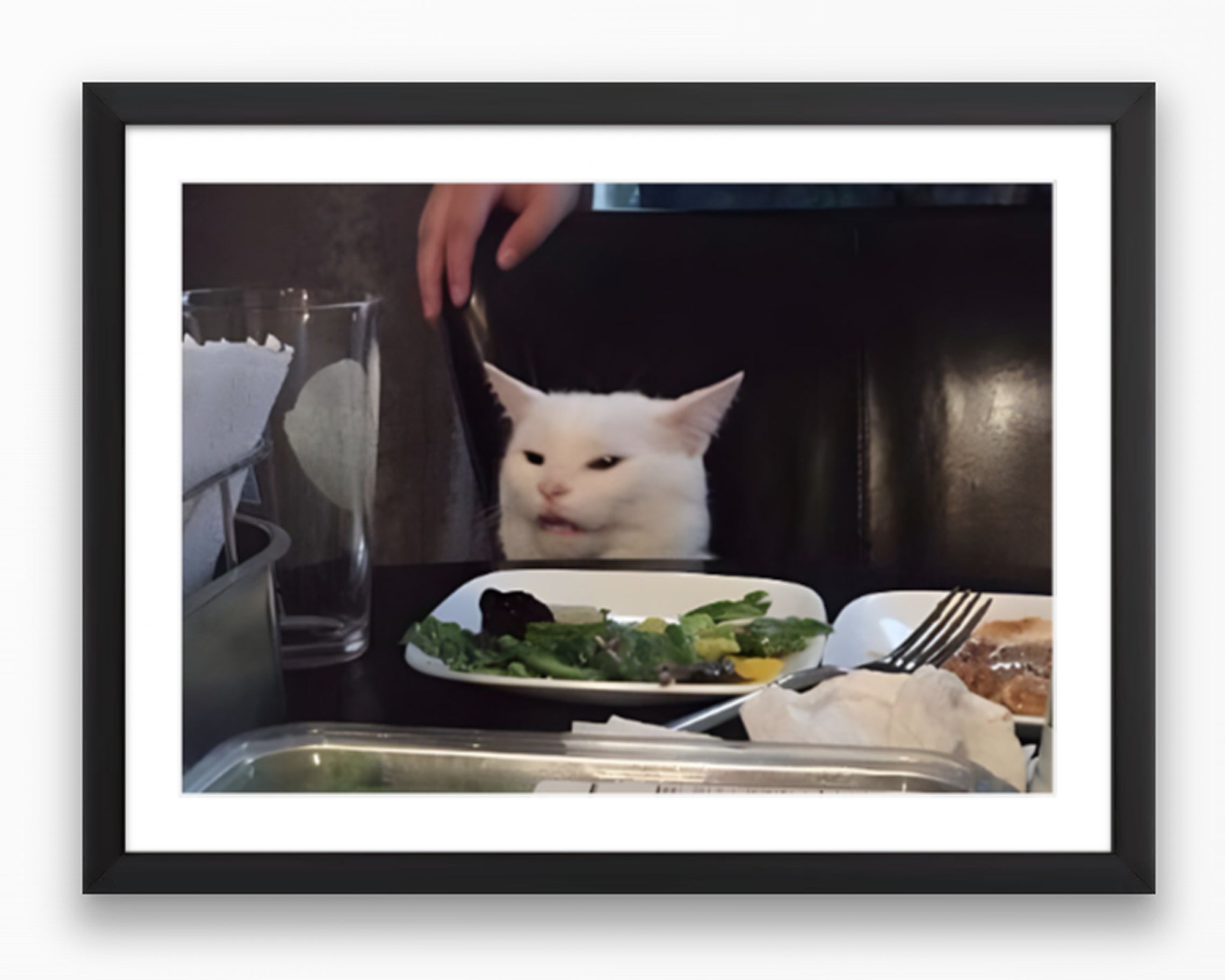 Confused Cat Meme Poster