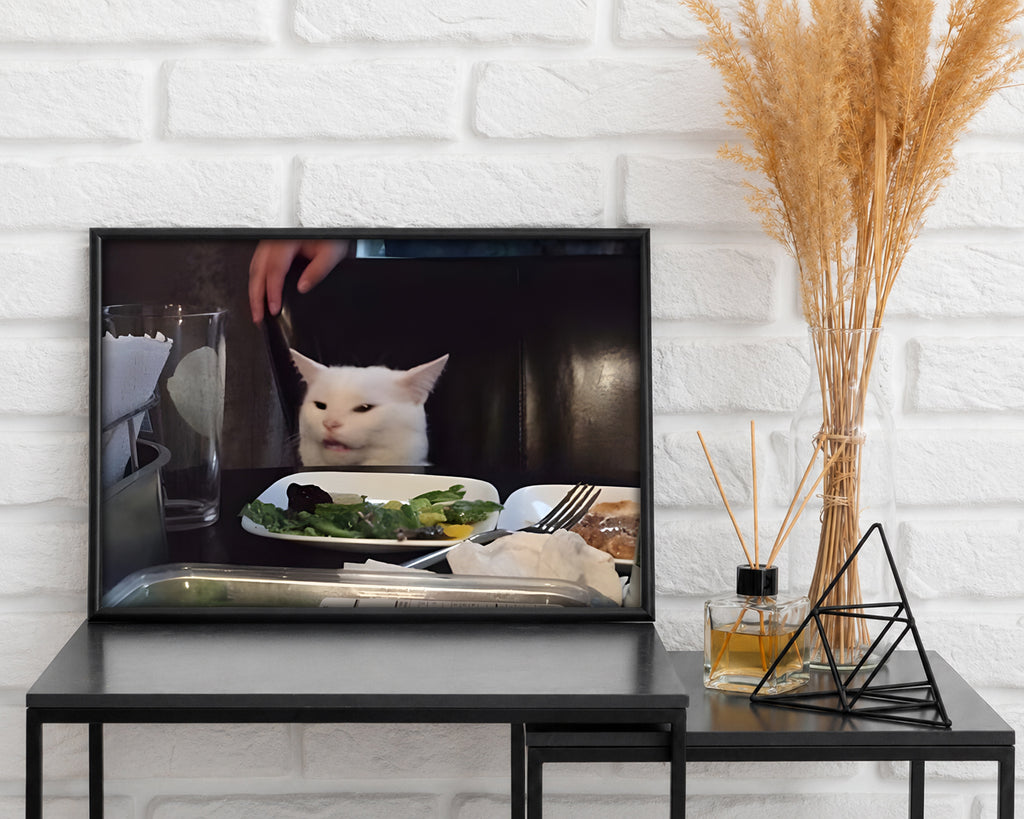 Confused Cat Meme Poster