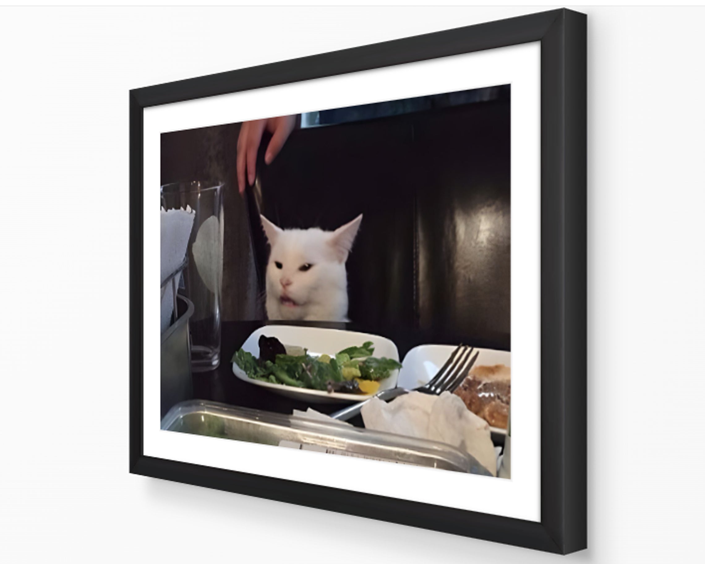 Confused Cat Meme Poster