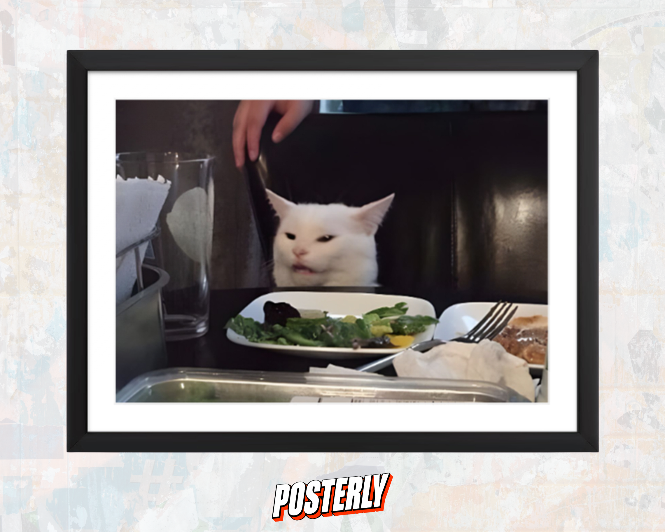Confused Cat Meme Poster